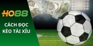 Cách đọc kèo tài xỉu