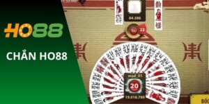 chắn ho88