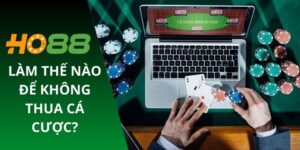 Làm thế nào để không thua cá cược